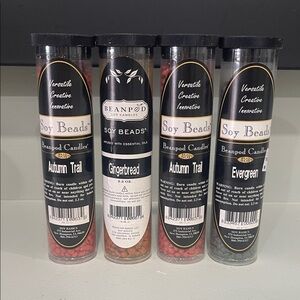 Beanpod Soy Beads Asst Set of 4